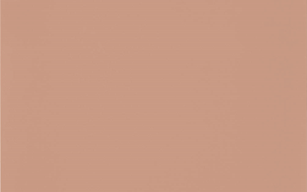 Premium Honed Coral