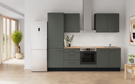 Cuisines Elite Cuisine linéare 270 cm électroménagers inclus planning 6 Vert minéral ultra-mat Easytouch Cuisines Elite Cuisine linéare 270 cm électroménagers inclus planning 6 Vert minéral ultra-mat Easytouch